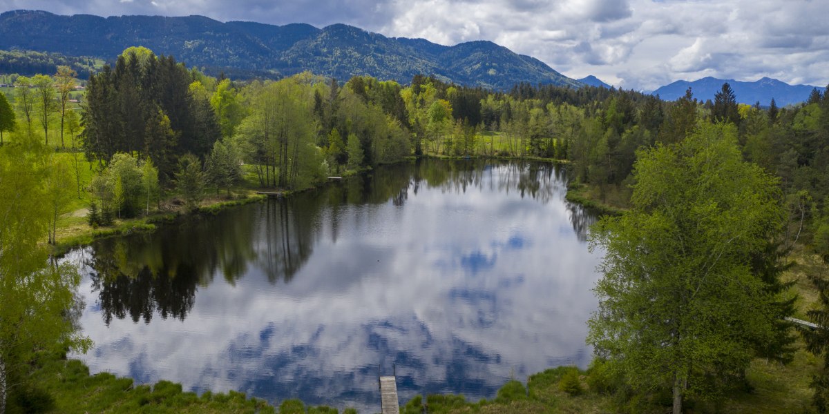 Schönauer Weiher, © Lisa Bahnmüller