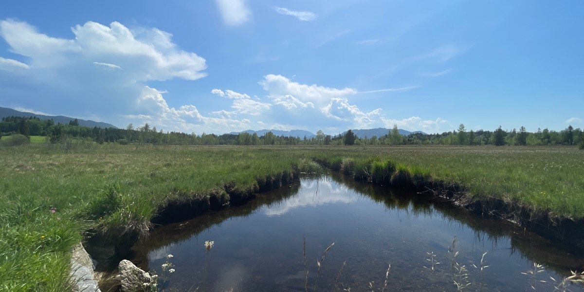 im Ellbacher Moor bei Bad Tölz, © Hochschule München